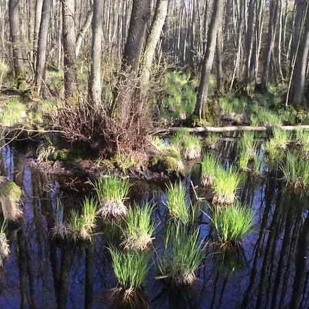 Lägenhet Morgensonne Born