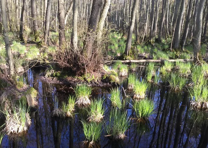 Apartamento Morgensonne Born